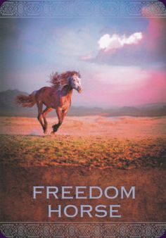 freedom-horse-1-1